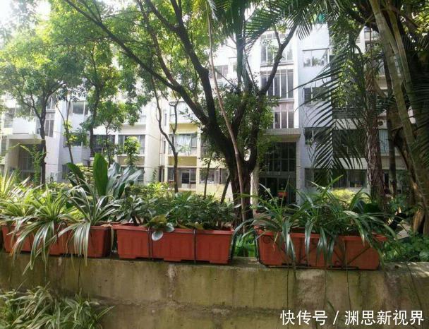 房子|买电梯房要注意了，这2个楼层切记不要买，我家住半年就知有多坑