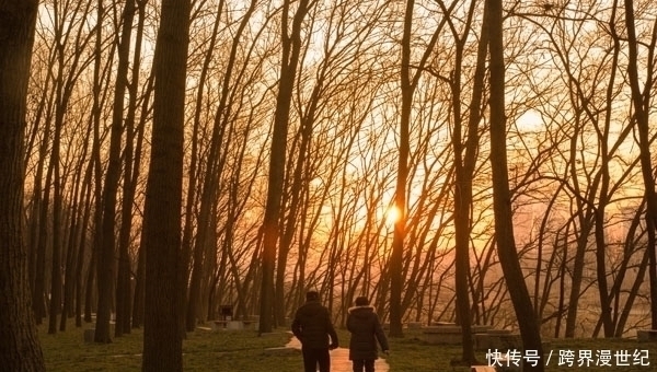 柳叶刀|4条坑人的养生建议,听着合理,做着伤身,以后不要再做了