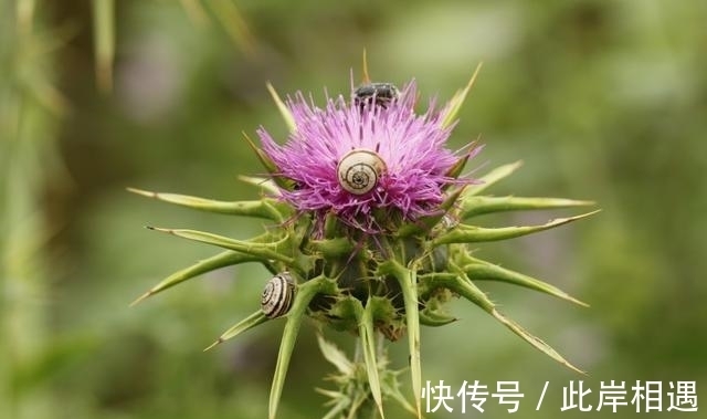 投资理财|8月运势拨云见日，好运大发，钱财大赚，喜讯频传