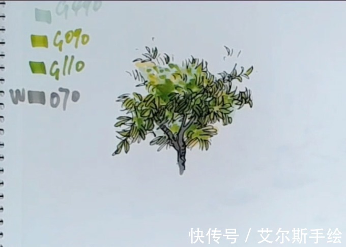 颜色|「艾尔斯马克绘」用马克笔如何画出栩栩如生的植物呢？