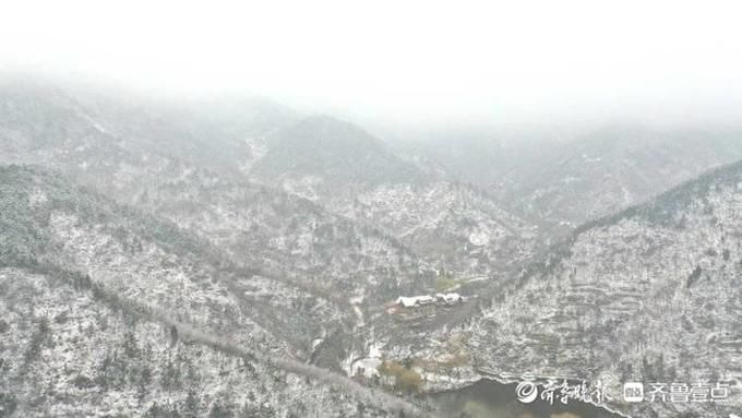 温柔飞雪再迎春，济南南山湿漉漉雪蒙蒙