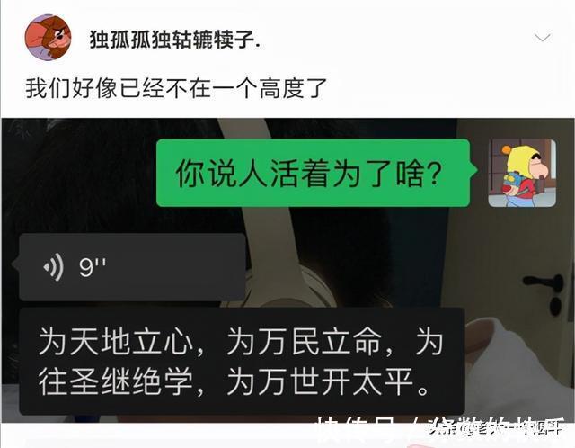 |当代网友的搞笑高智商神回复第333篇