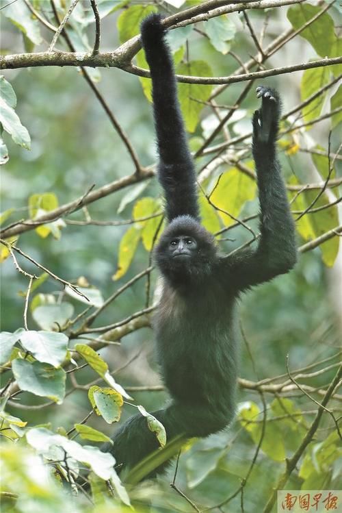 2021年3月31日焦点图