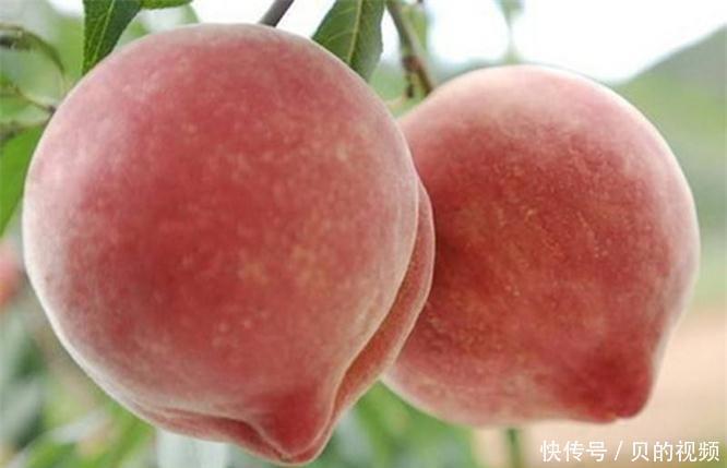 春天气色不好,吃以下食物,减肥瘦身,排毒养颜,预防便秘