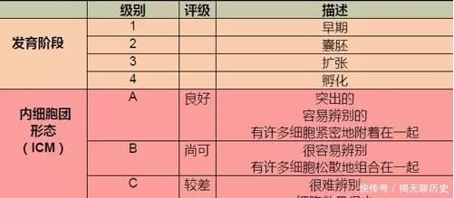 碎片|3分钟教您看懂胚胎等级报告，科学评估试管婴儿着床率！