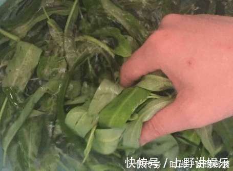 瘦肉|最近我家迷上了这道菜,比韭菜都要鲜,吃起来香甜脆嫩,堪称美味