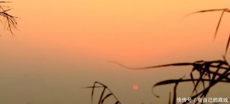 极为|李白这首诗意境优美,被称为平生第一快诗,通篇描写得极为欢快!