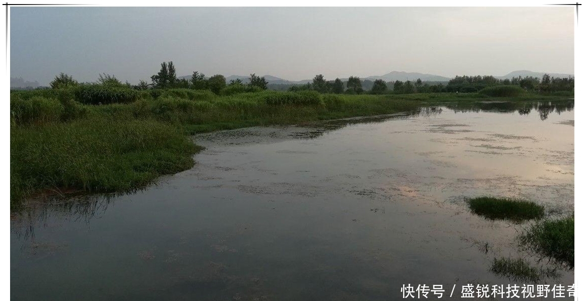 春末夏初巧寻板鲫:学会变通,找对方法