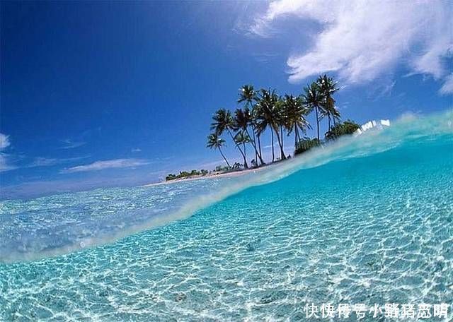 中年|中国大妈去韩国旅游,想买30斤泡菜回国,却被导游极力阻止