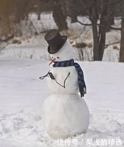 艺术家|堆雪人堆出新境界!网友:这是被堆雪人耽误的艺术家!