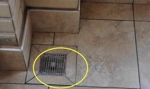 卫生间|卫生间地漏一定不能这样安装，我家装错肠子都悔青了，聪明人就懂