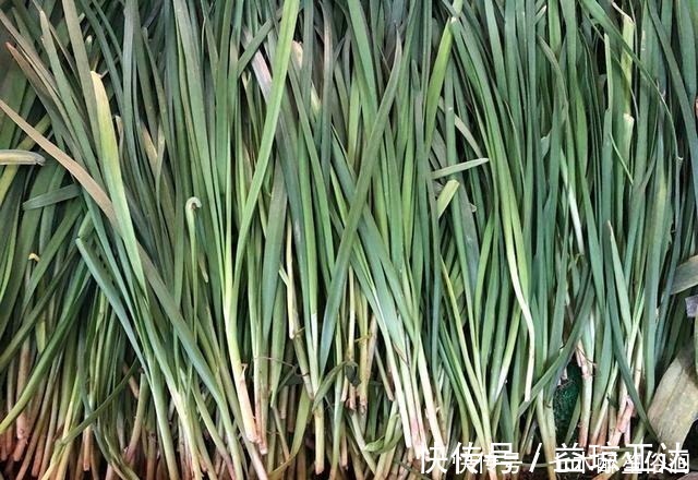 炒韭菜|买韭菜时，挑选宽叶还是窄叶的？菜农：别再挑错了，难吃还浪费钱
