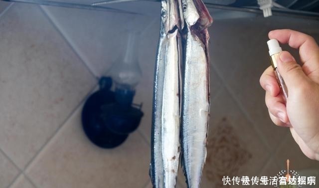 脑黄金|这鱼在日本被称为脑黄金,价格昂贵,中国便宜,很少人吃