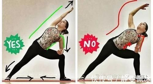 胸腔|为什么瑜伽练习不能照葫芦画瓢？看过这些图你就懂了…