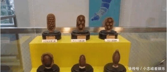 日本目黑寄生虫博物馆, 恐怖寄生虫侵蚀主体