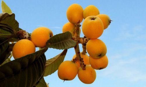 屏气|经常吸烟的人,若能做到2个动作,说明肺还不错,做好3点肺更健康