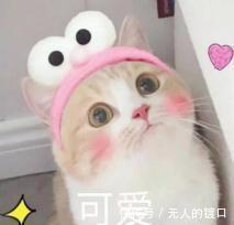 长大|熊出没:嘟嘟多年后终于长大,又瘦又美她,却忘了曾经的初心