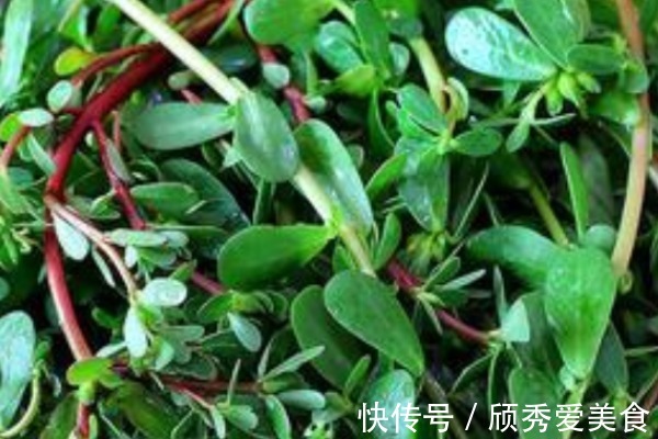 苋菜|农村随处可见的4种野菜,活血化瘀,缓解失眠,老人要多吃!