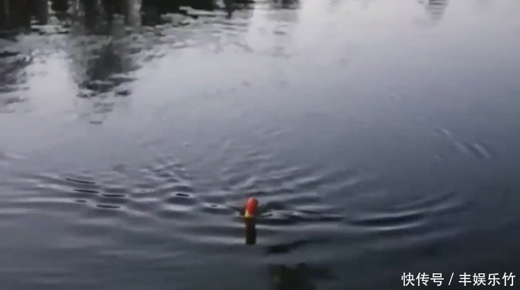 钓鱼|男子用鲫鱼当诱饵，被朋友们嘲笑，最后钓到的鱼让朋友们闭了嘴