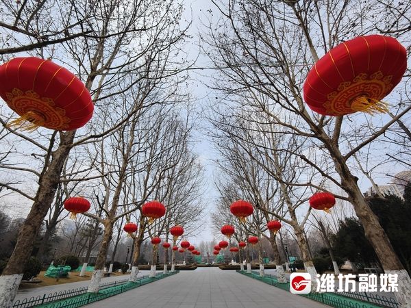 鸽子|网络中国节·春节｜赏风景、喂鸽子……植物园里真热闹