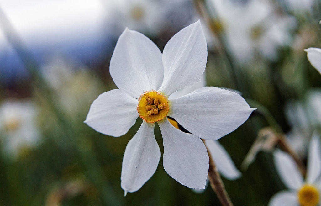 《曾国藩家书》:对人要宽严相济,办大事要有人才备份