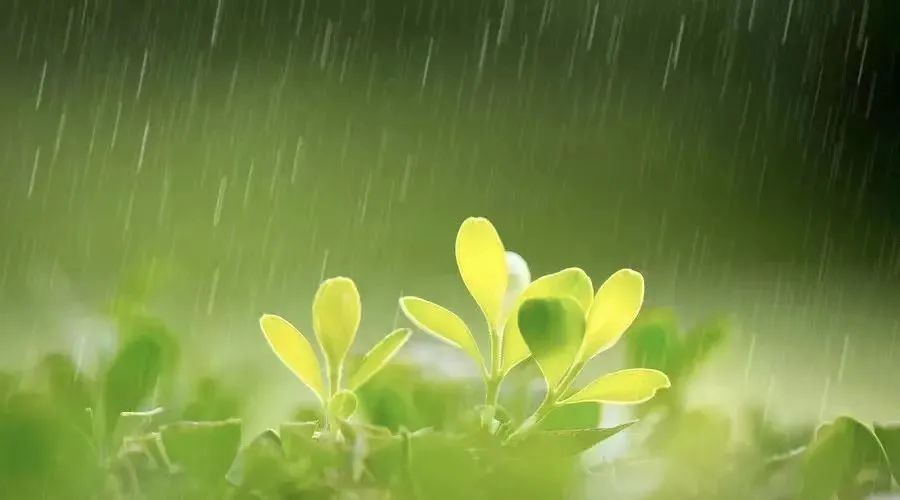 水谷精微|雨水之后，春和景明