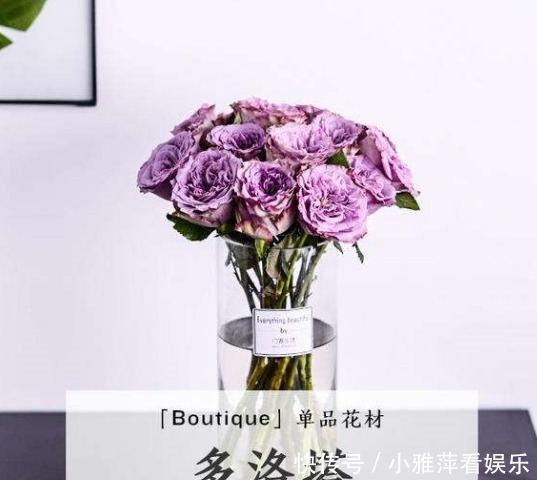 所有玫瑰花的种类