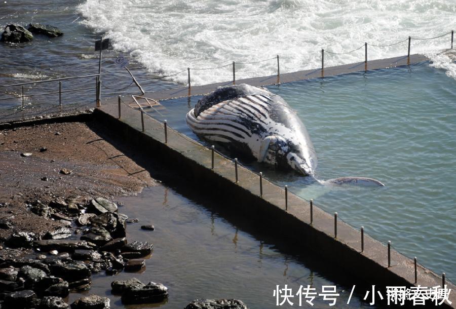 龙骨$1934年营口坠龙事件,是日本人的阴谋吗