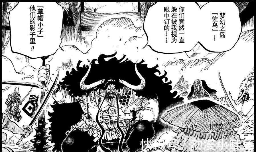 锦卫门|海贼王:凯多重伤后说出14个字,给出打败黑胡子方式