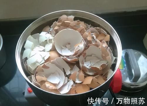 蛋壳|拿到蛋壳别急着养花，按“这要求”处理，给植物施肥才不出问题