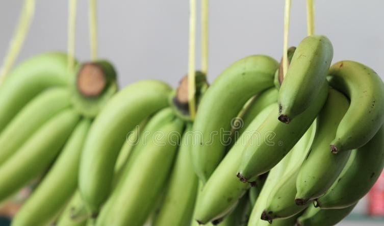 香蕉好吃却不容易保存教你一个妙招,放一周不腐烂不变黑