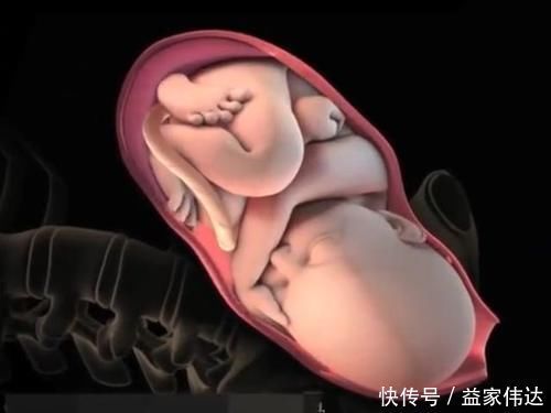 屏气|顺产的全过程到底是怎样的，生而为人需了解，请勿泪奔