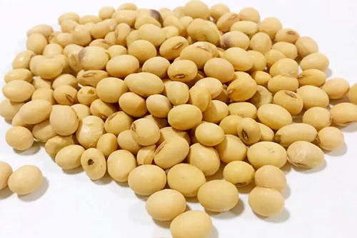 女性|女性40岁后，体内雌激素会加速减少，吃哪些食物能补回雌激素？