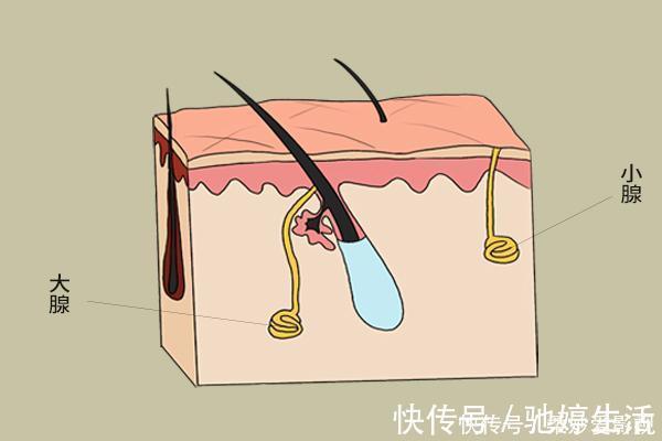 身体|女人雌激素枯竭时，身体会有明显的不同，不想太早变老，抓紧补充