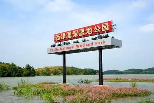 天地|探寻西津湿地 游一方静谧天地