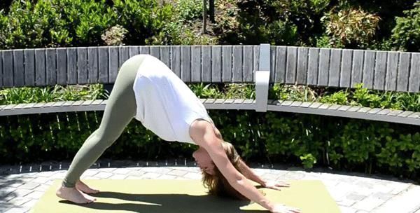 体式|手臂粗,上半身力量弱这些瑜伽体式要常练