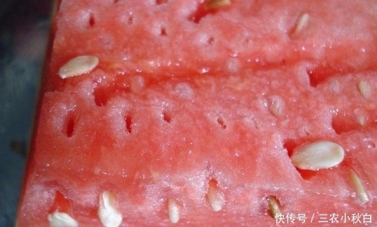 上文中|打了激素的西瓜,你知道怎样辨别吗?不妨留心几点