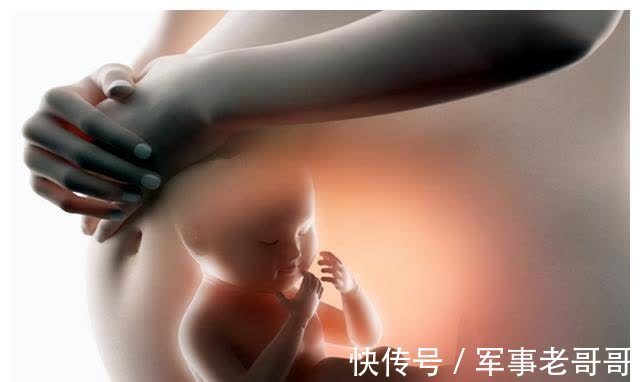 尿液|怀胎十月,胎儿的排泄物都去哪了?看完整个人都不好了