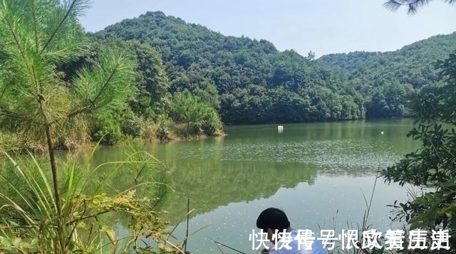 浮漂|学会调漂反而钓不到鱼了?别误会,那是因为你只学了一半!