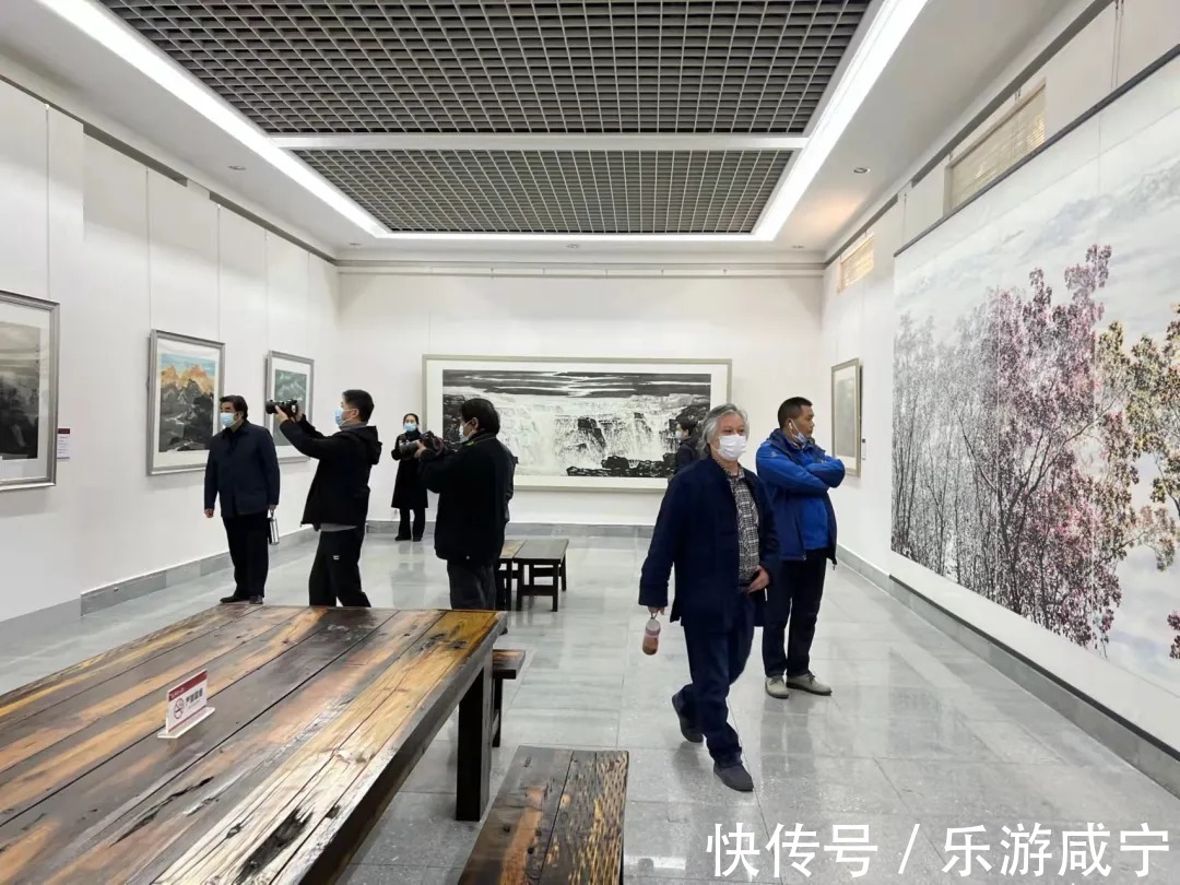 美术馆$湖北首届中国画写意作品咸宁巡展暨市州美术馆联盟成立