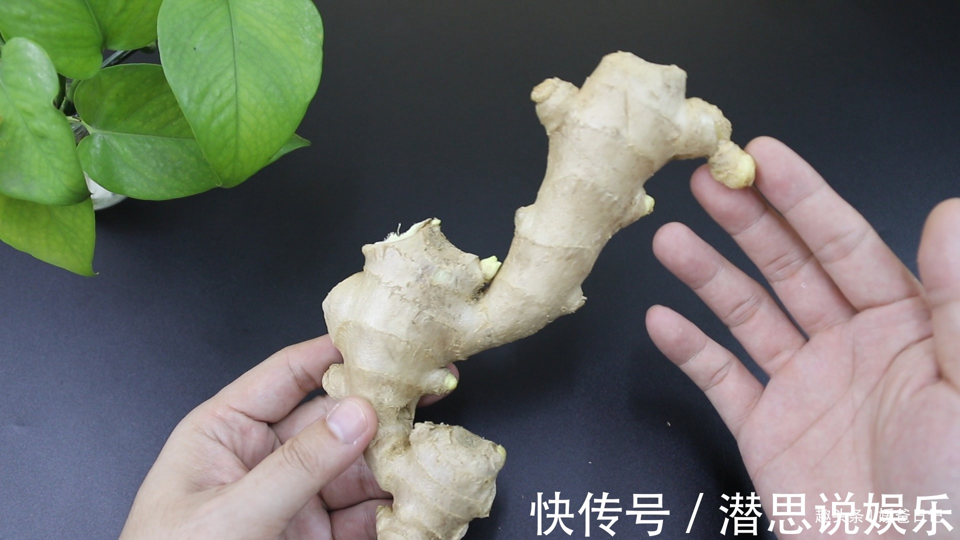 生姜|这样的生姜不能买,还好菜贩子告知,早知早受益
