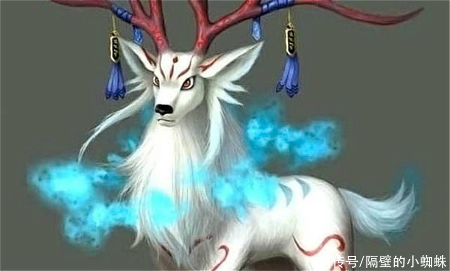 真神|海贼王1020话，大和的恶魔果实曝光，居然是头狼，真没有排面
