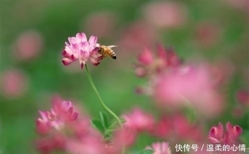 孝顺|孩子出生在几点钟,命好最有出息,孝顺父母,个个天资聪颖