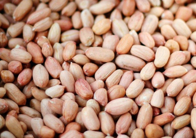 长寿药|最便宜的“长寿药”终于被发现,家家户户都有,推荐最佳吃法