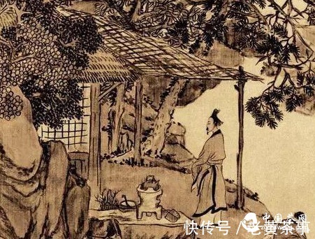 茶叶|中医从药理，谈茶的功效