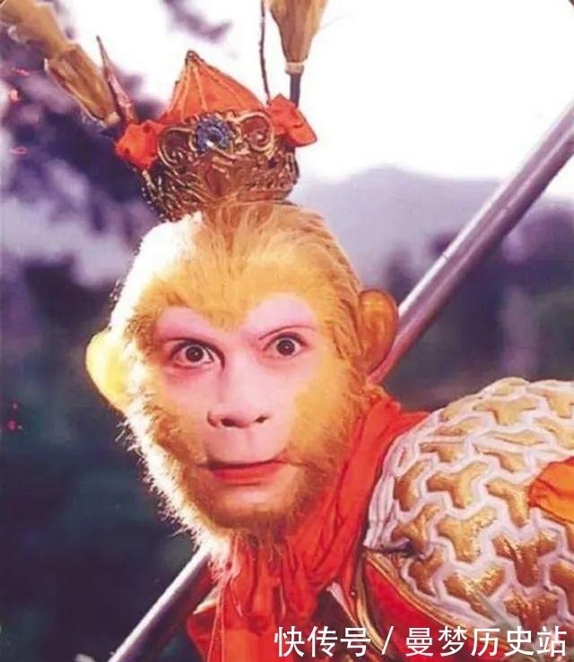 猴相|好奇葩……