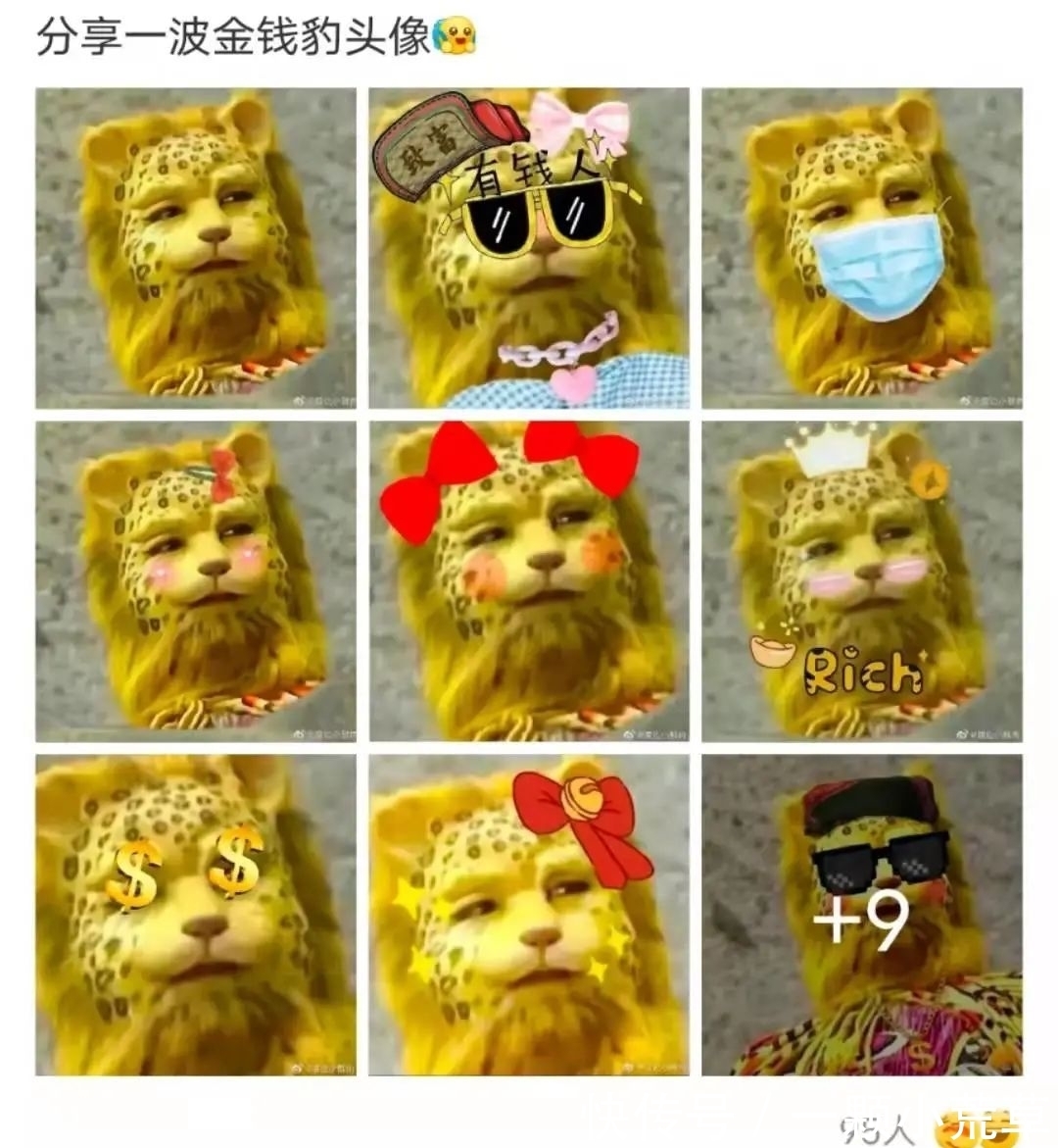 南山#开年顶流金钱豹,不过是《西游记》中的二流货色