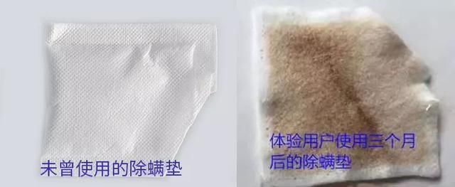 脸部|床上有没有螨虫,身体4个信号告诉你,除螨土办法,赶走床上螨虫