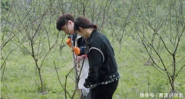 肖战|杨紫调侃做客《向往5》,经常被肖战他们微信吵到,原因引全场大笑