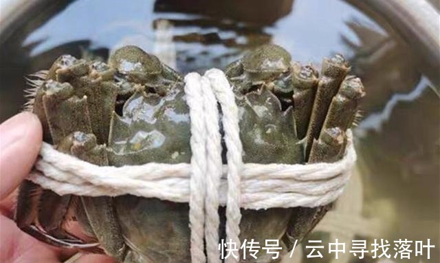 大闸蟹|蒸大闸蟹时,最忌直接上锅蒸,多加这一步,螃蟹鲜嫩入味不流黄!